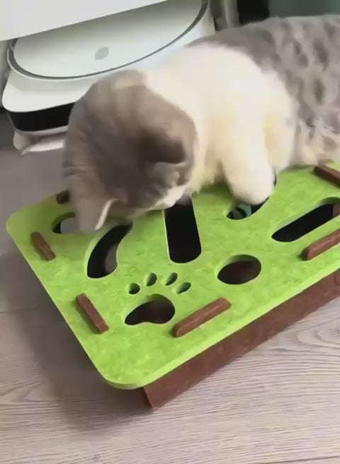 Self-entertainment Cat Maze Toy