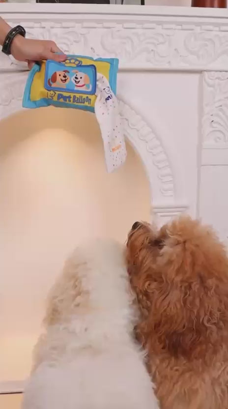 Snuffle & Seek Toy for Dogs