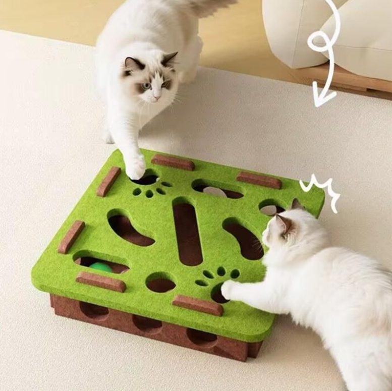 Self-entertainment Cat Maze Toy