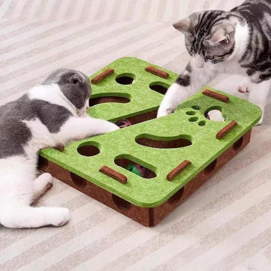 Self-entertainment Cat Maze Toy